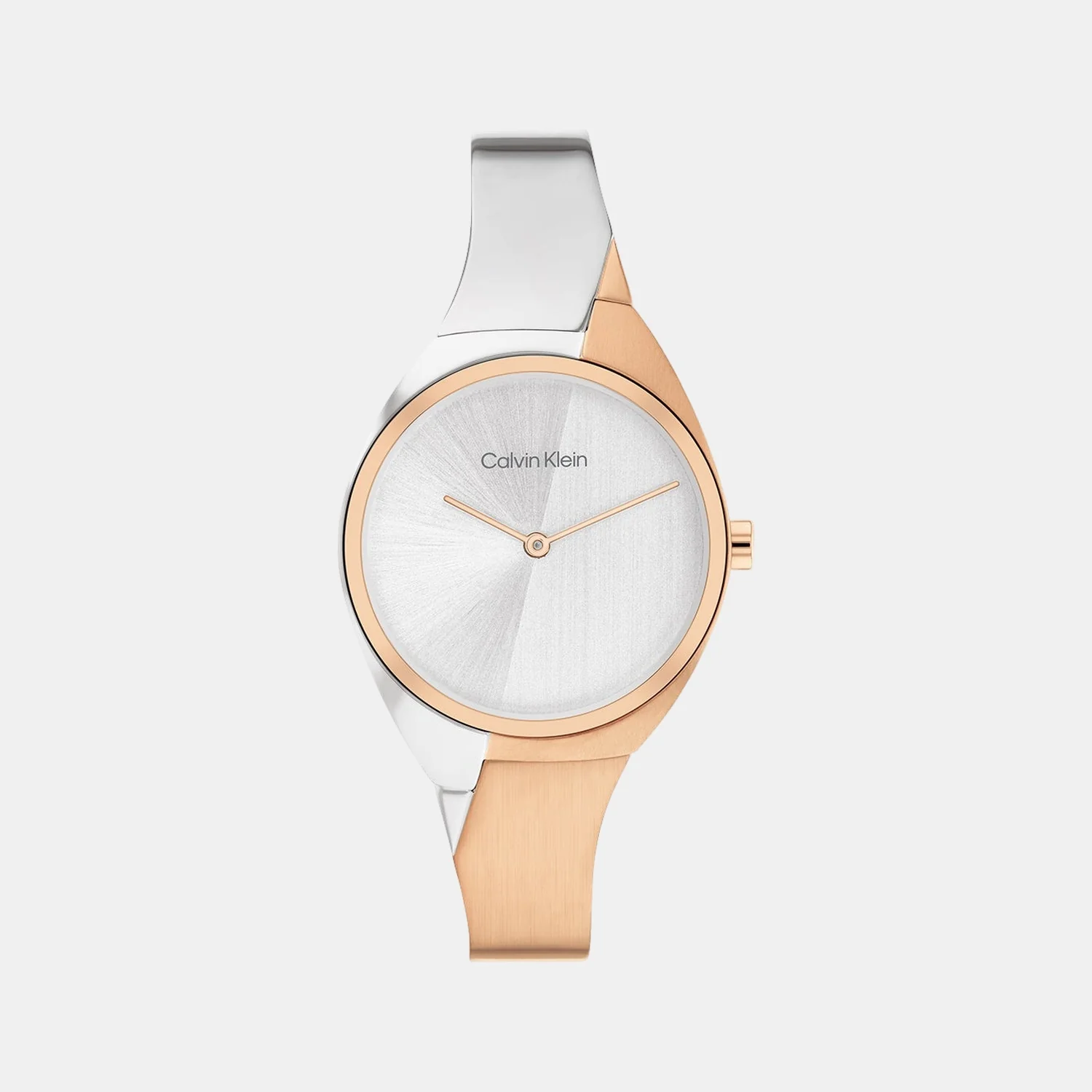 Charming Women Quartz Silver Dial Analog Stainless Steel Watch 25200237
