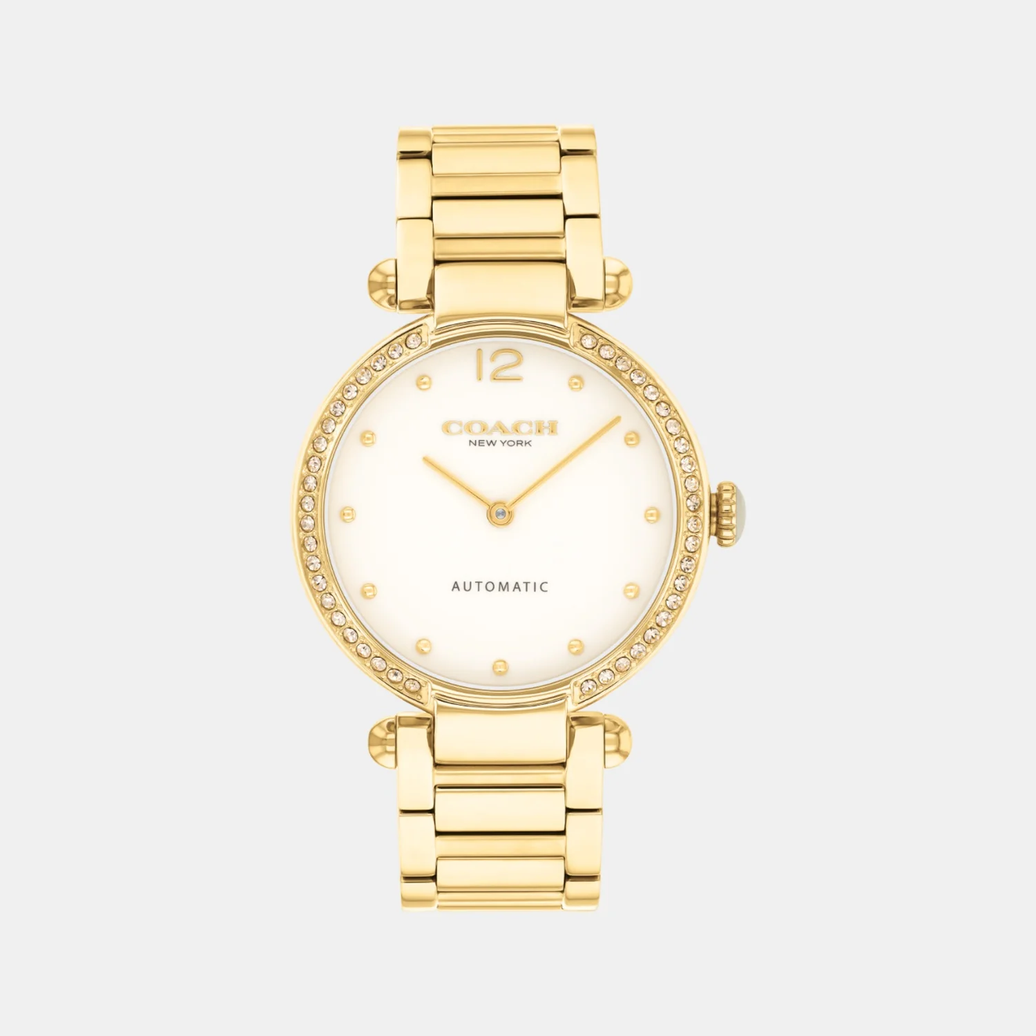 Cary Women Automatic Chalk Dial Analog Stainless Steel Watch 14504580