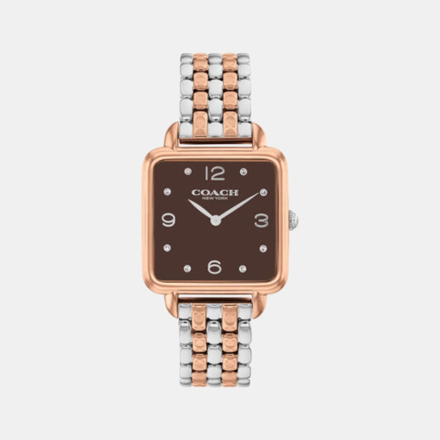 Cass Women Quartz Coffee Brown Dial Analog Stainless Steel Watch 14504543