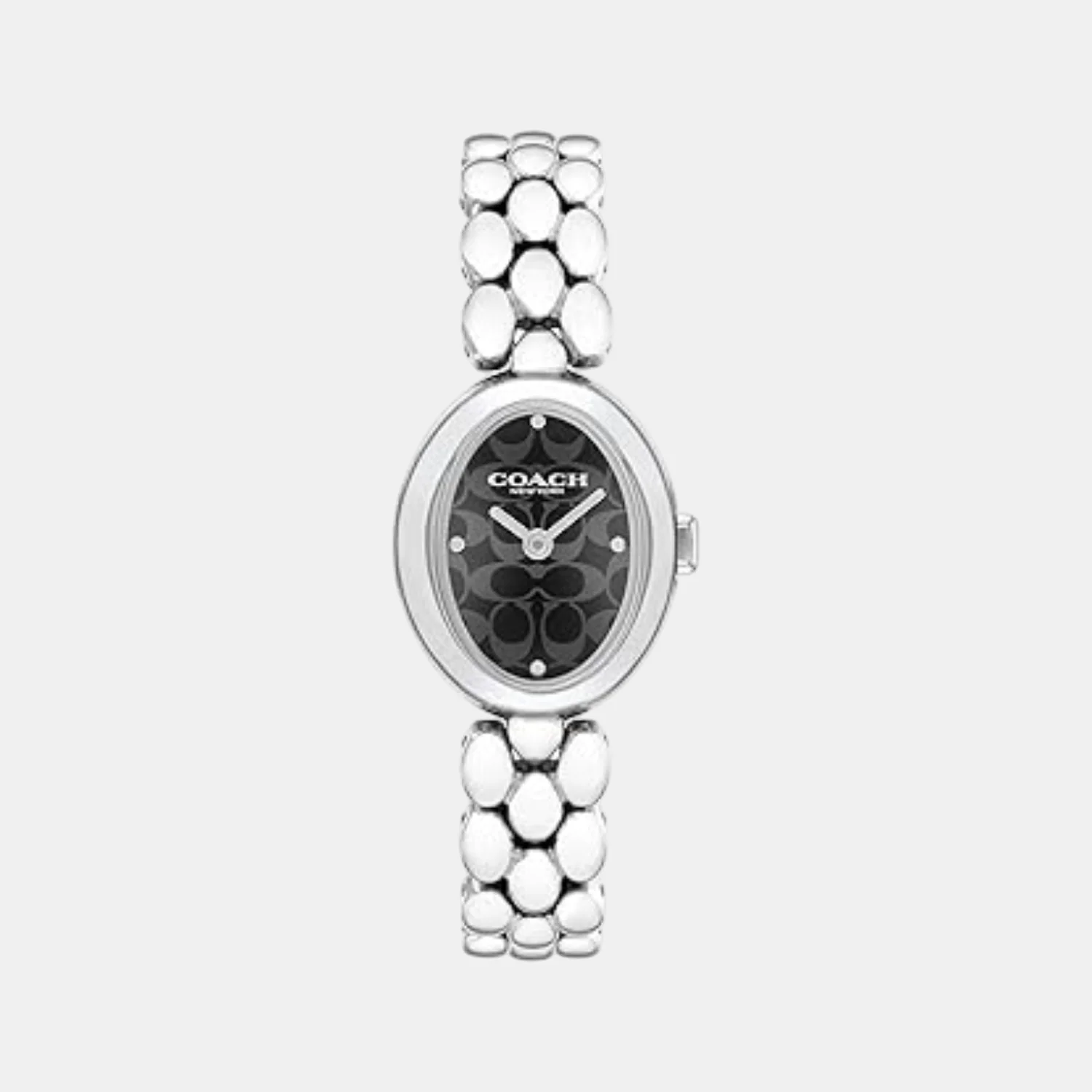 Sammy Women Quartz Black Dial Analog Stainless Steel Watch 14504420