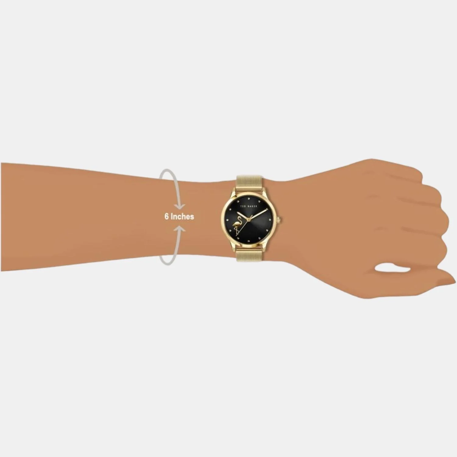 Women Quartz Black Dial Analog Stainless Steel Watch BKPFZF012 - Image 4