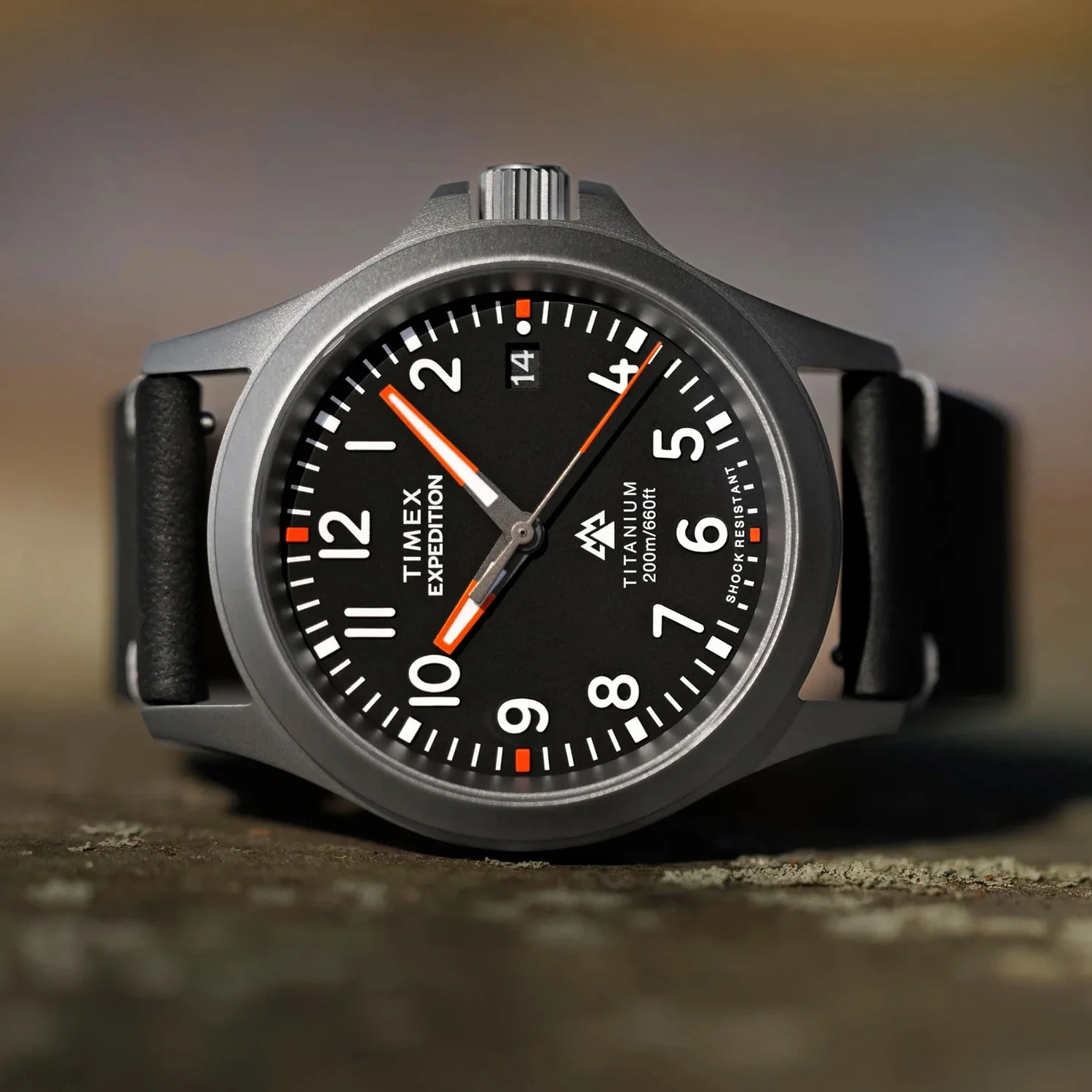 Men Quartz Black Dial Analog Plastic Watch TW2W78000UJ - Image 6